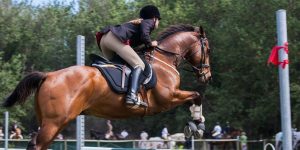 beginner horse riding tips